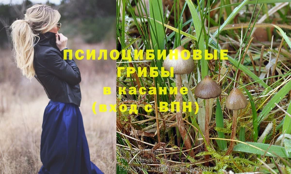 mix Армянск