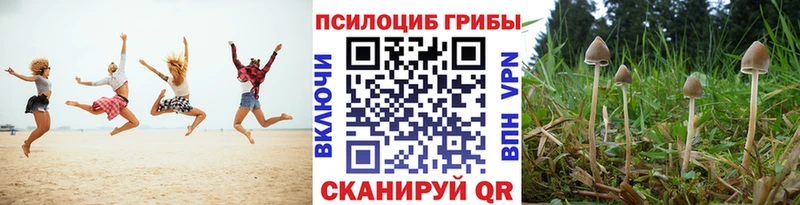 купить   Рыльск  KRAKEN ссылки  Псилоцибиновые грибы Magic Shrooms 