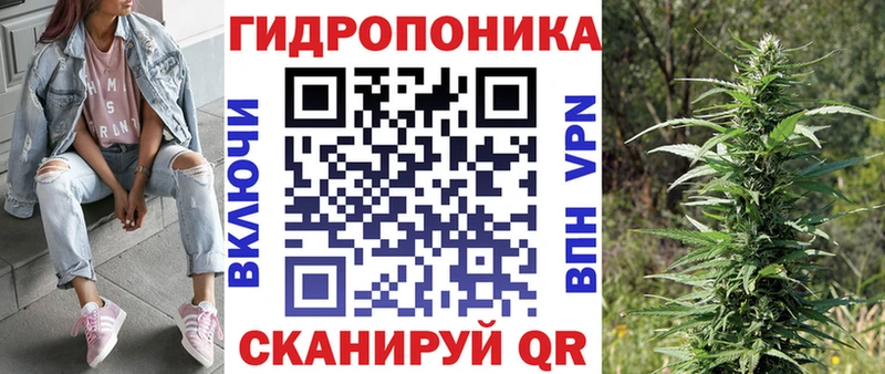 купить   гидра онион  Бошки Шишки OG Kush  Рыльск 